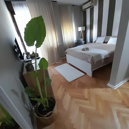 Apartment Harmony Zarkovo